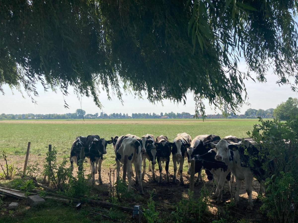 فيلا Vakantiehuis Het Uilennest Wijdenes المظهر الخارجي الصورة