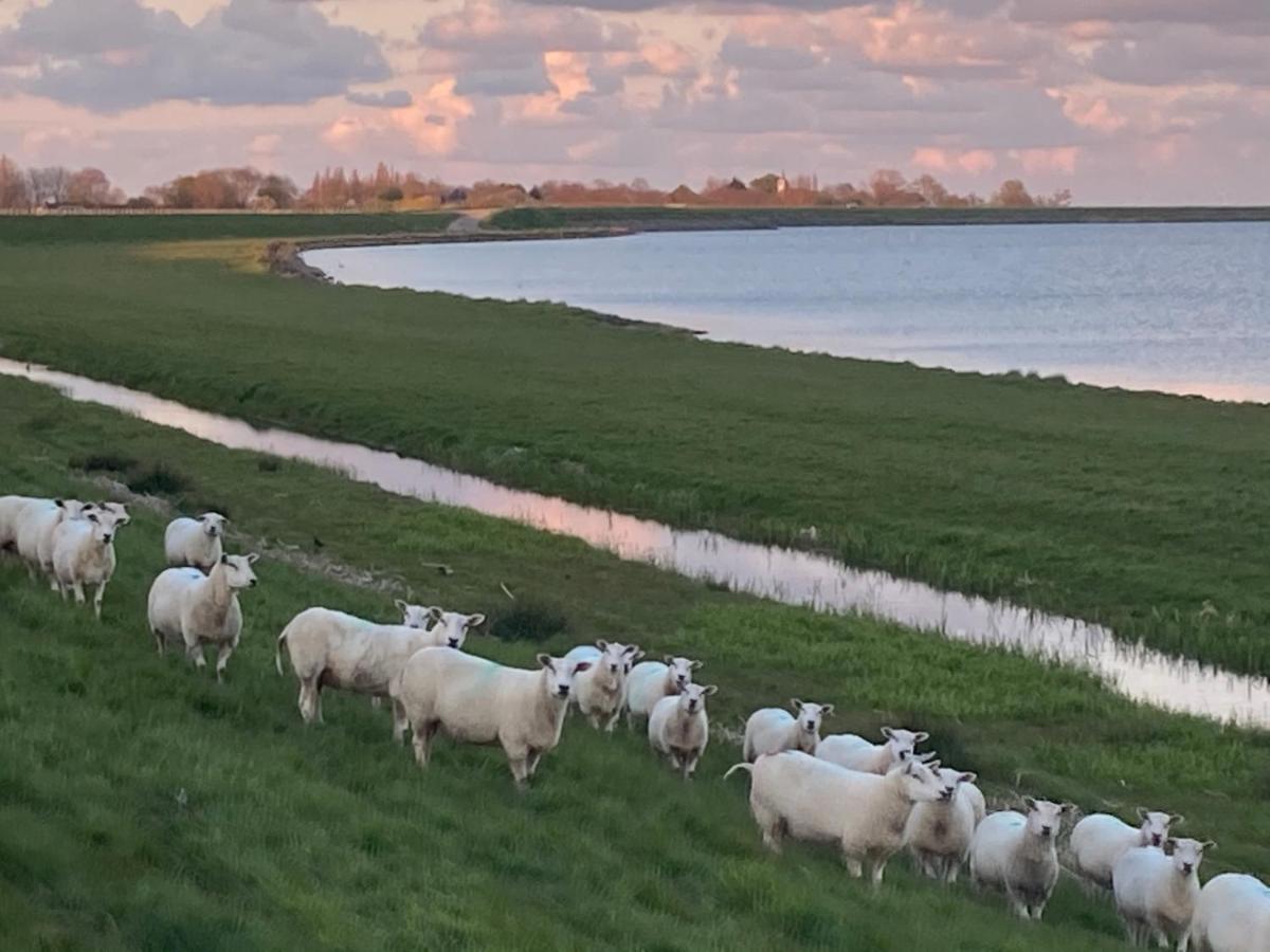 فيلا Vakantiehuis Het Uilennest Wijdenes المظهر الخارجي الصورة