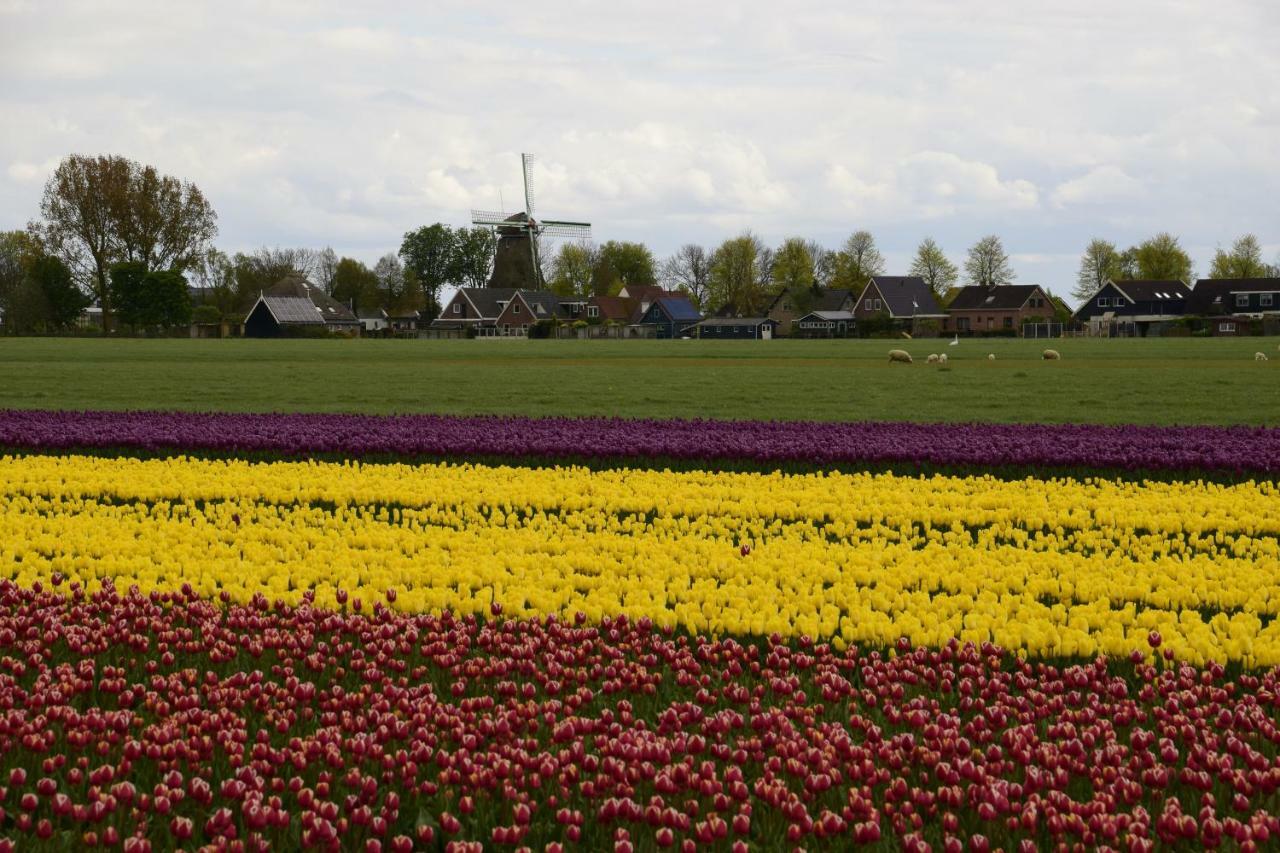 فيلا Vakantiehuis Het Uilennest Wijdenes المظهر الخارجي الصورة